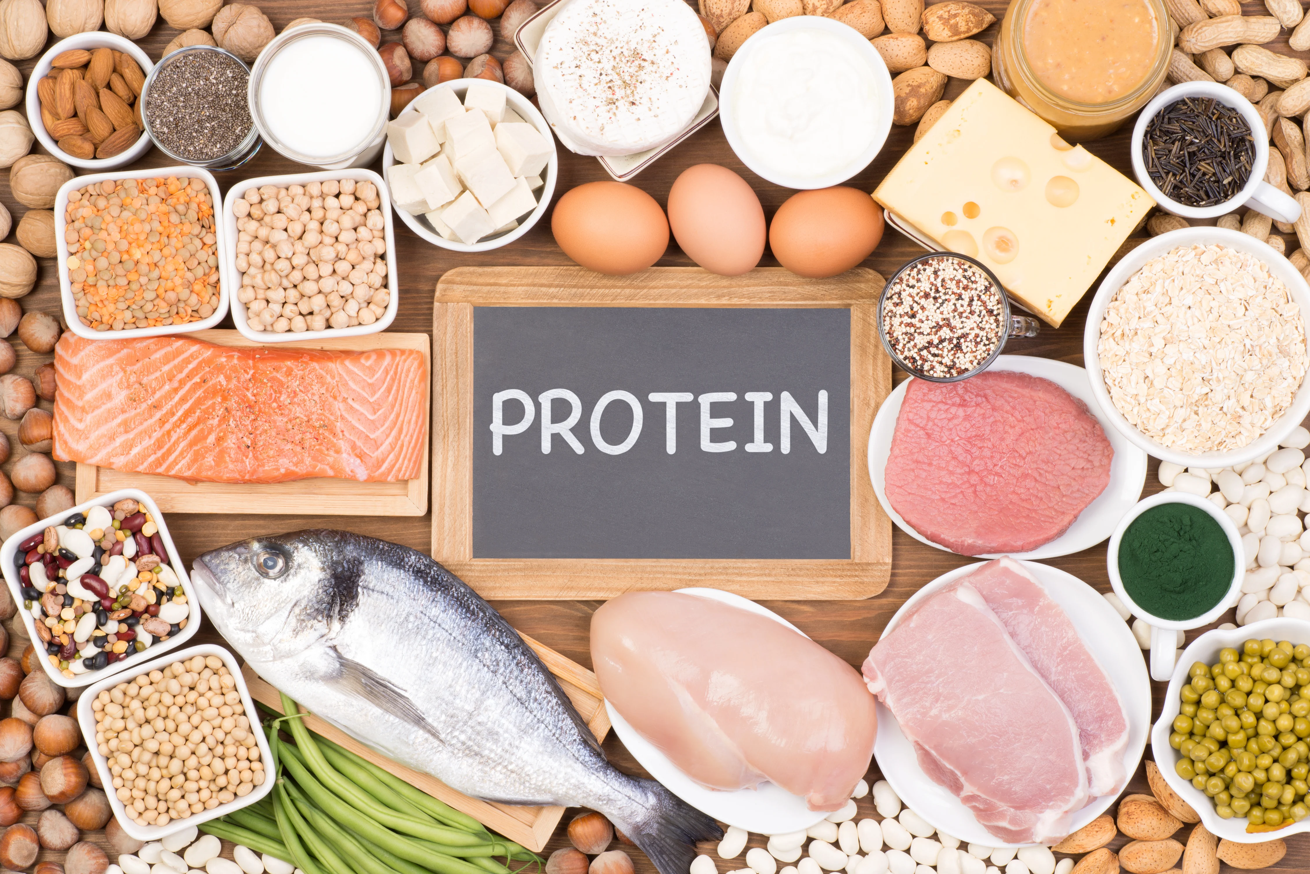 Источник белковых продуктов. Белковая еда. Питание белки. Белковые продукты. Белки протеины.