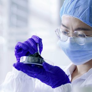 spirulina extract phycocyanin E30 and aqueous solution
