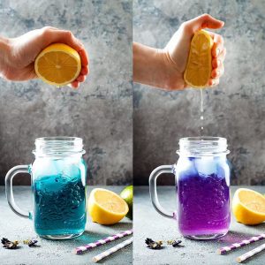 BUTTERFLY PEA FLOWER EXTRACT BUTTERFLY PEA FLOWER EXTRACT