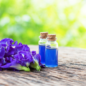 Know about our butterfly pea flower extract