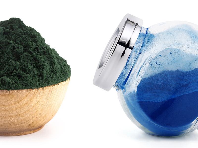 spirulina and phycocyanin, a blue green diamond