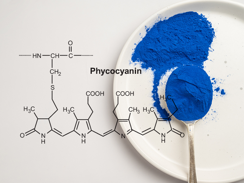 Phycocyanin, super antioxidant.