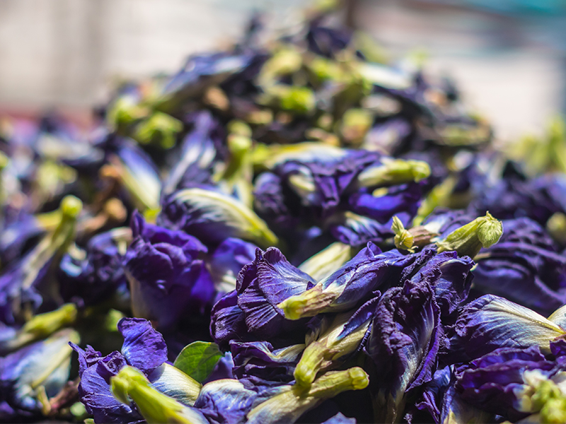 butterfly pea flower