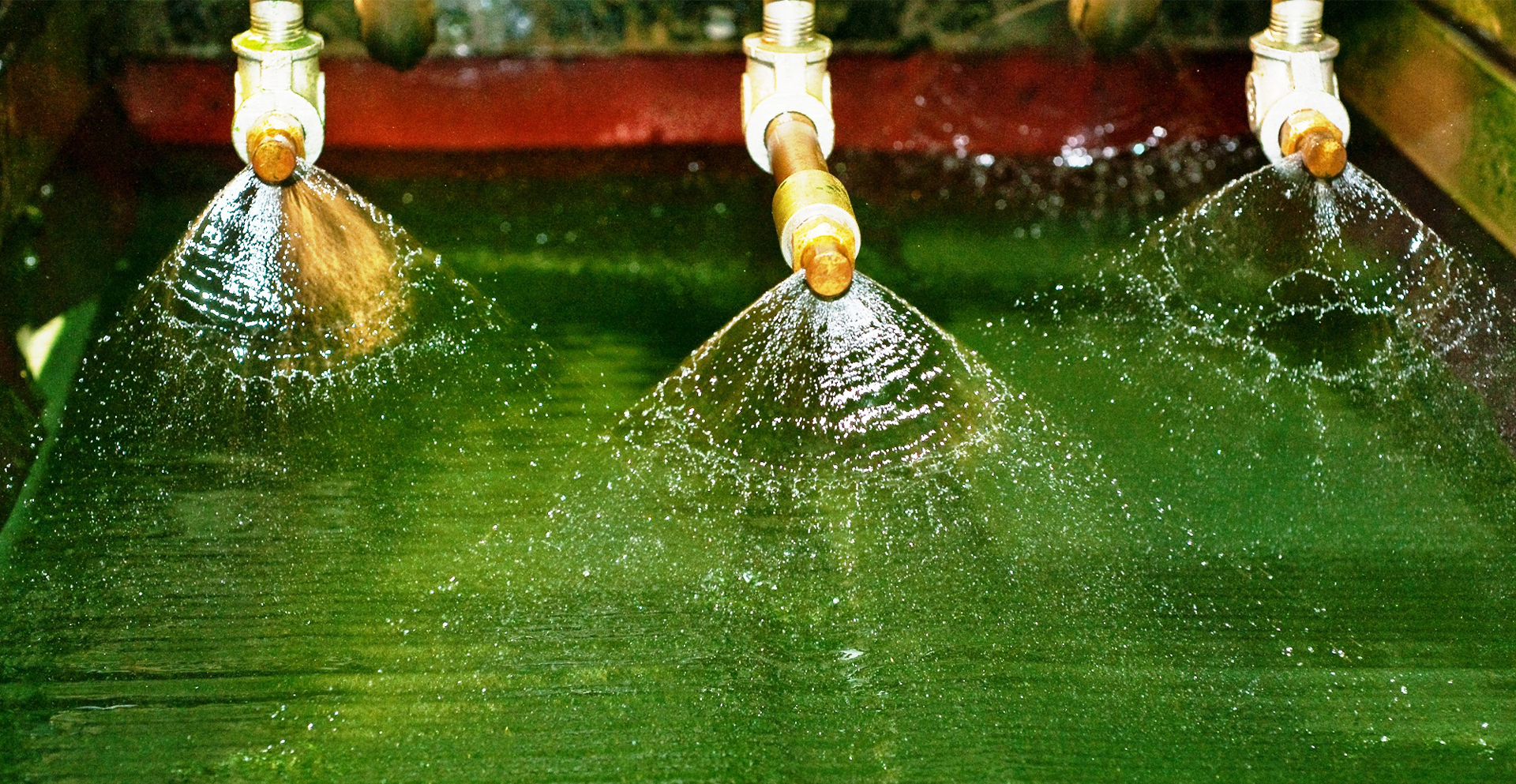 Spirulina cultivation system