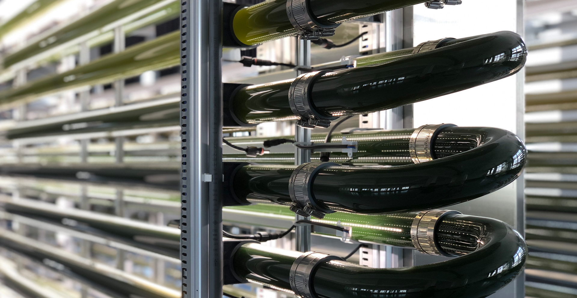 Spirulina cultivation system